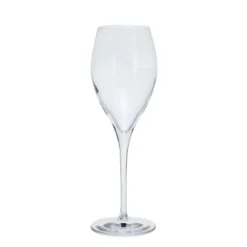 Prosecco Party, Set Of 6 -Best Glassware Store st3171 2 6pk prosecco party cutout co lr